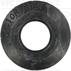Seal Ring, valve stem
